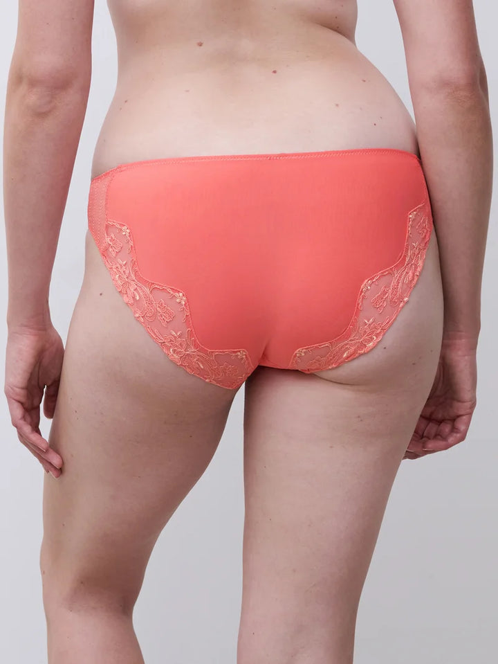 Chantelle - Cabaret Sauvage Brief Coral