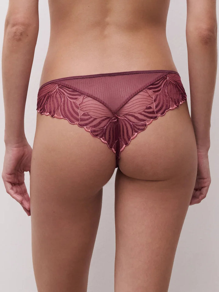 Chantelle - Legend Tanga Sienna / Guava