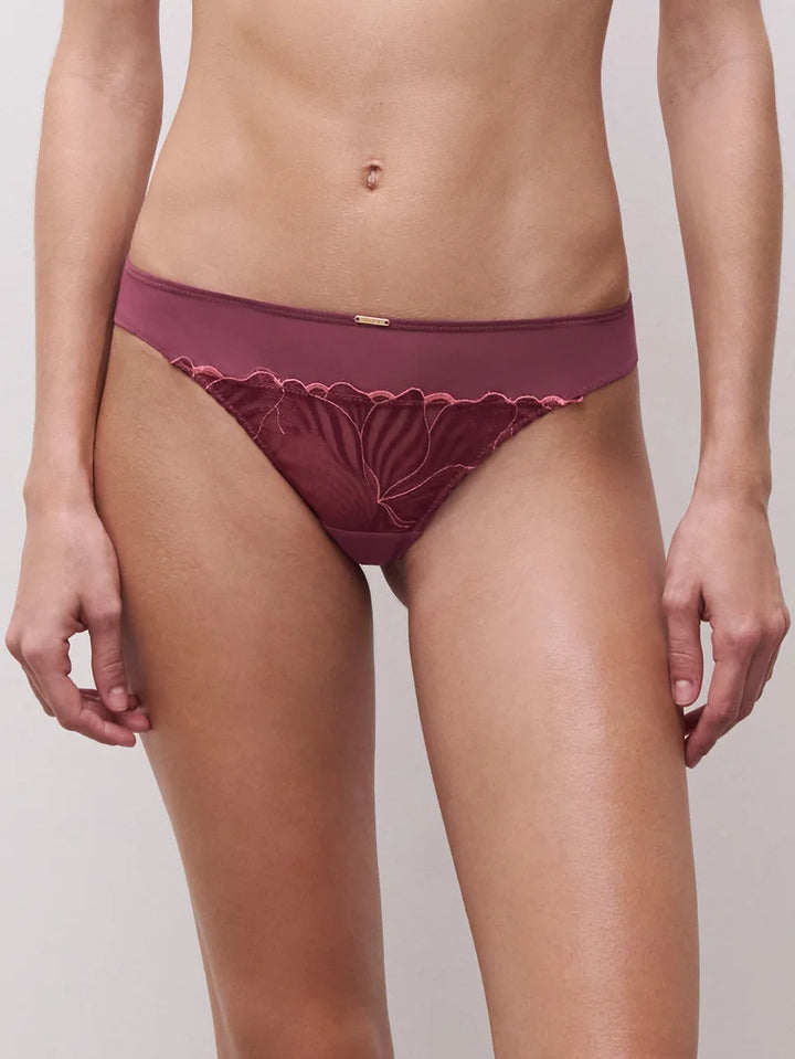 Chantelle - Legend Tanga Sienna / Guava