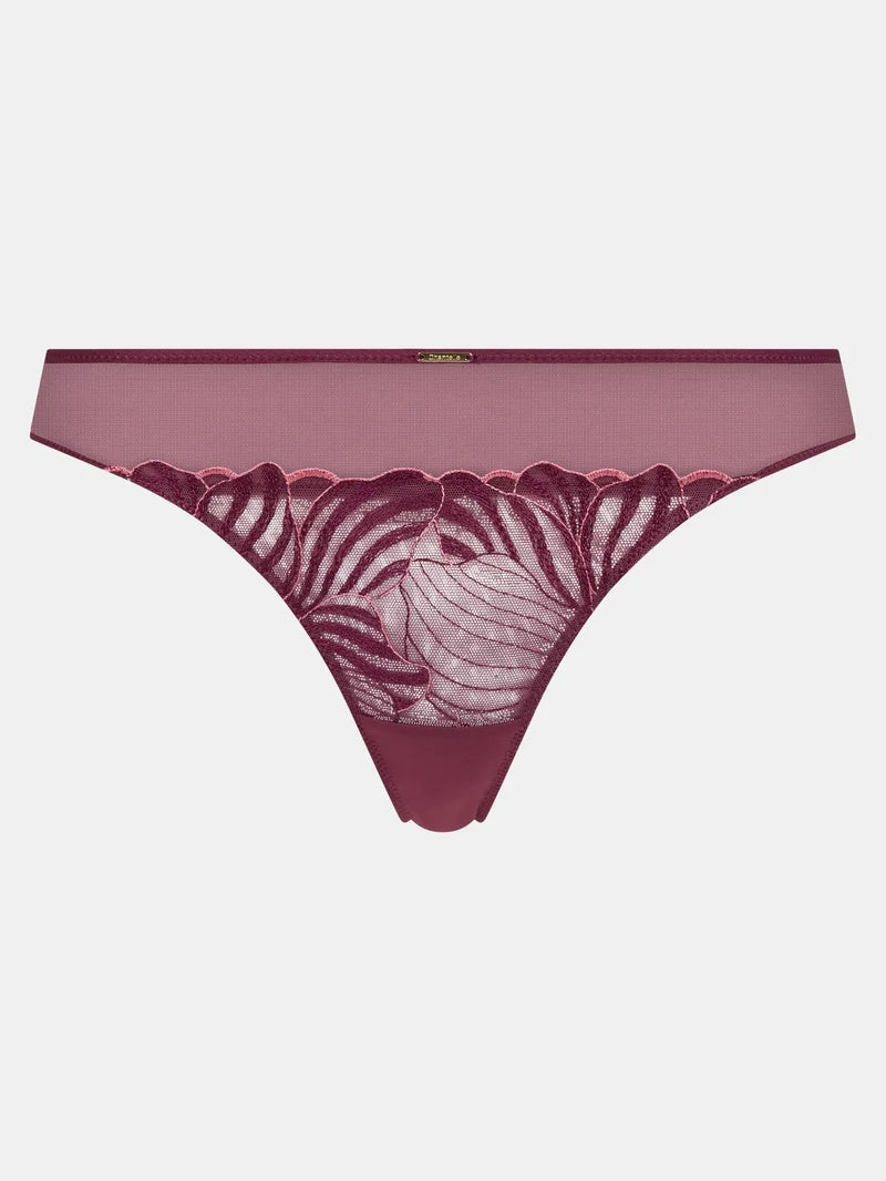 Chantelle - Legend Tanga Sienna / Guava