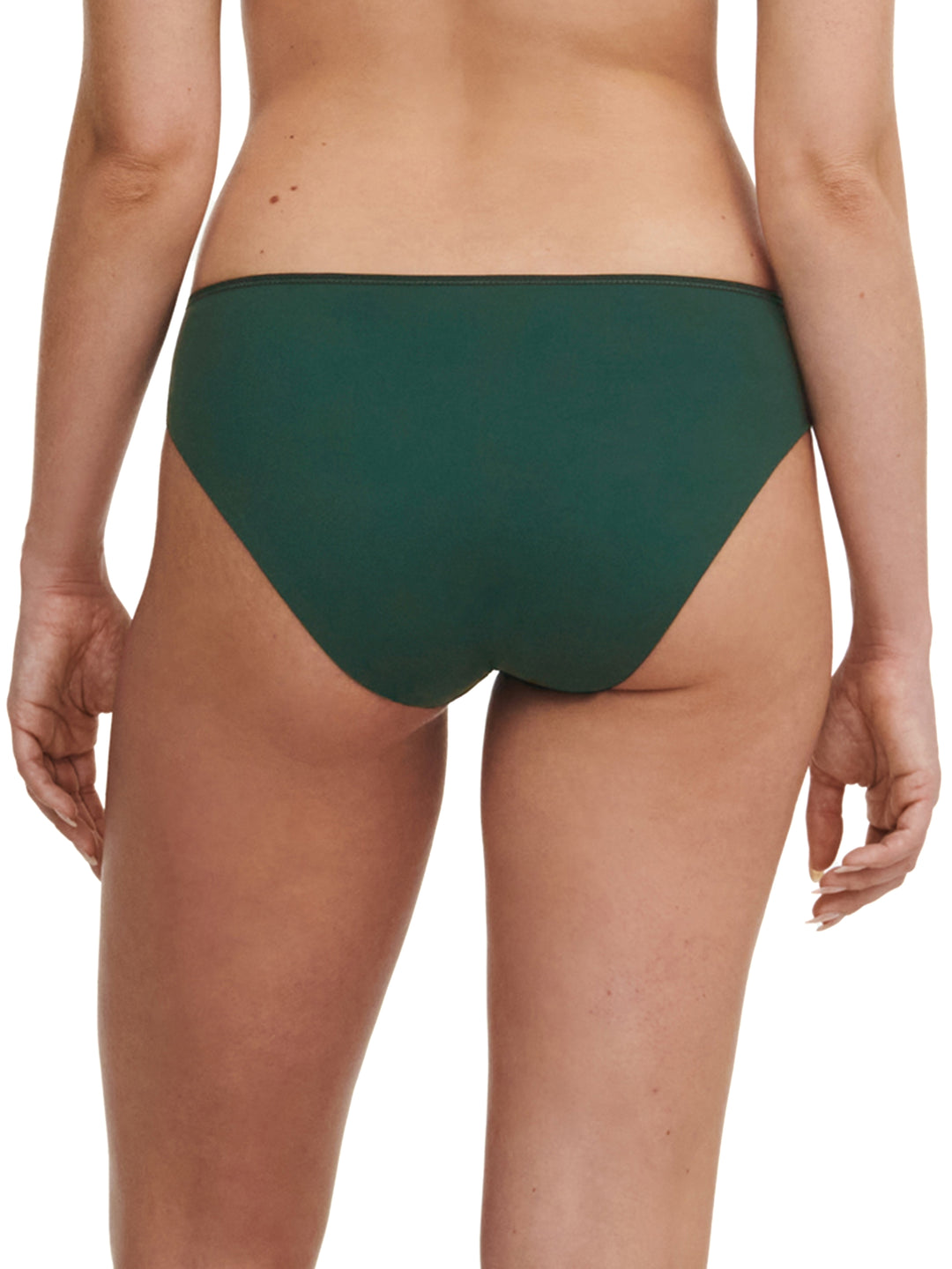Chantelle - Graphic Support Brief Empire Green
