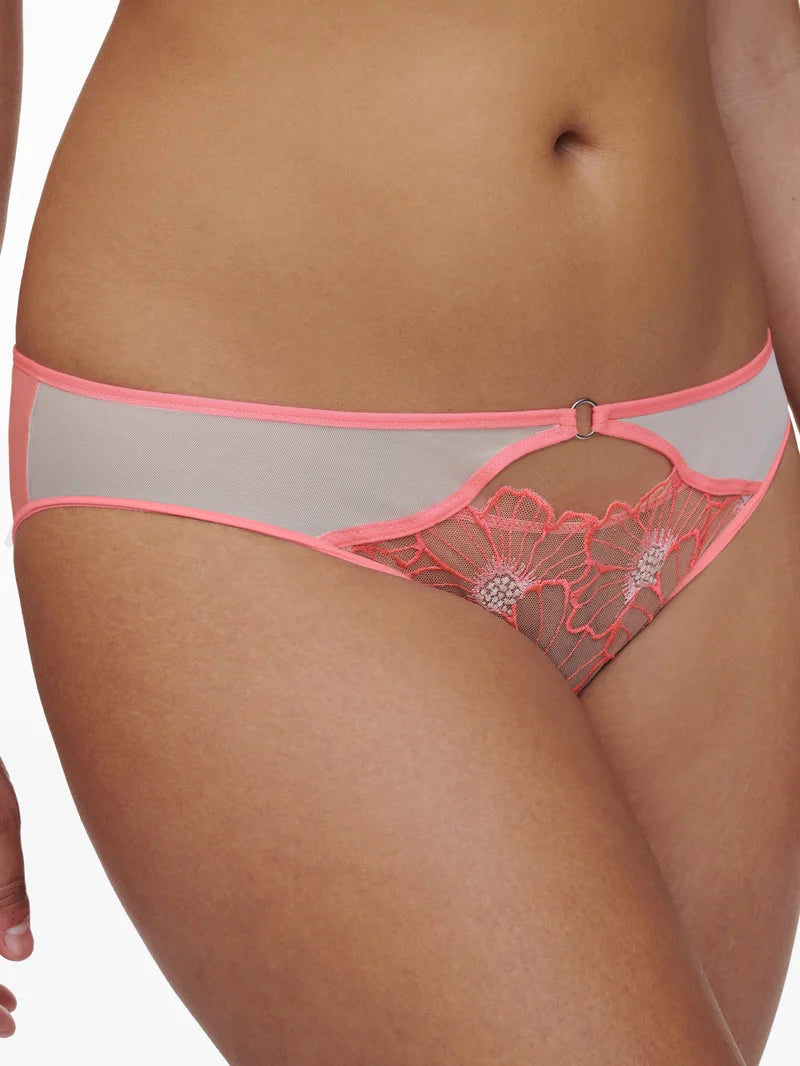 Chantelle - Lush Brief Bubblegum
