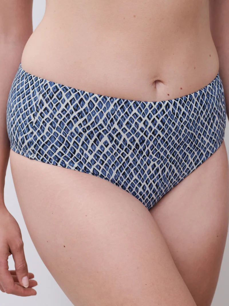 Femilet Swimwear - Tidra Full Brief Blue Reptile