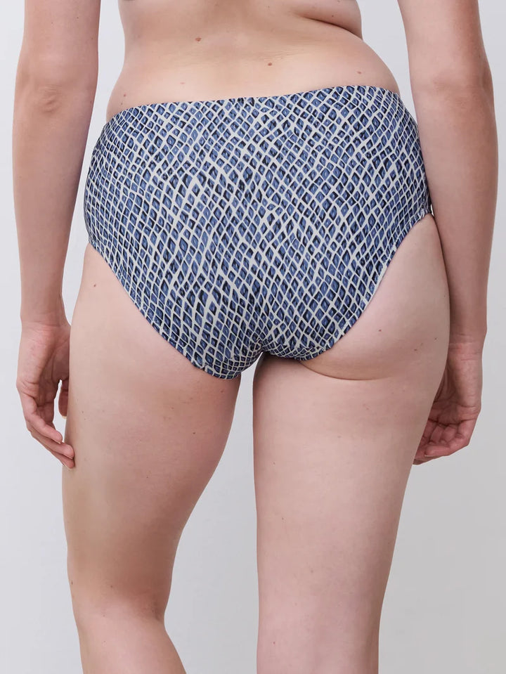 Femilet Swimwear - Tidra Full Brief Blue Reptile
