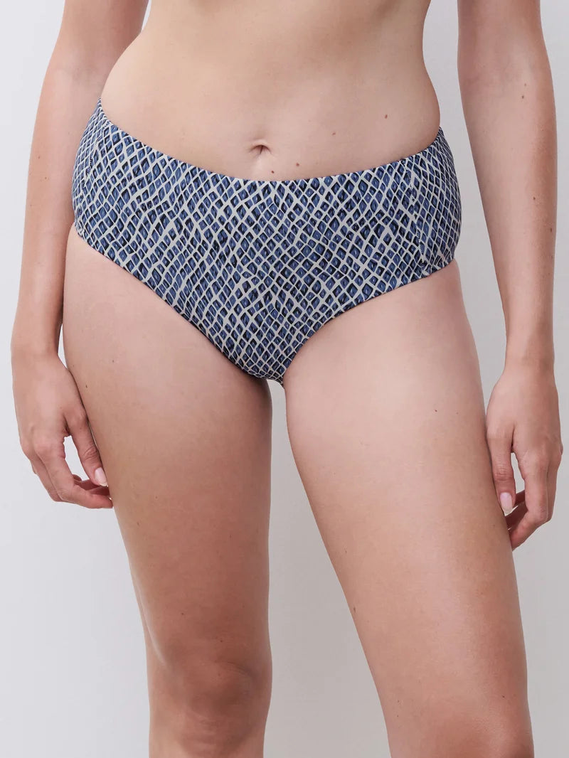Femilet Swimwear - Tidra Full Brief Blue Reptile