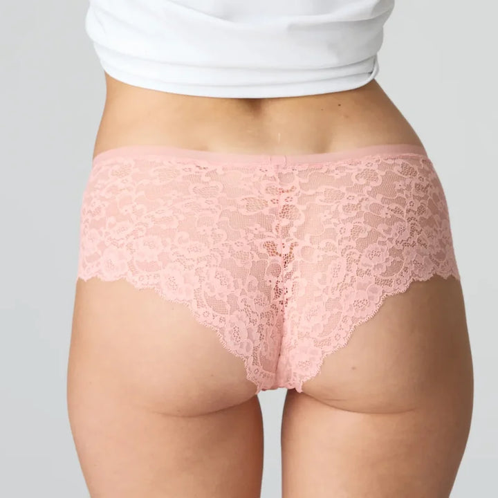 Marie Jo - Color Studio Lace Shorts Florida