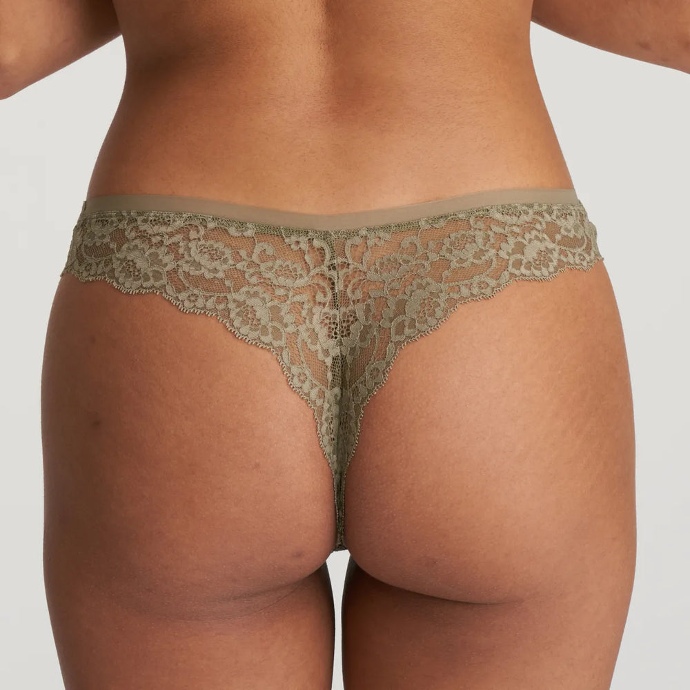 Marie Jo - Color Studio Lace Thong Golden Olive