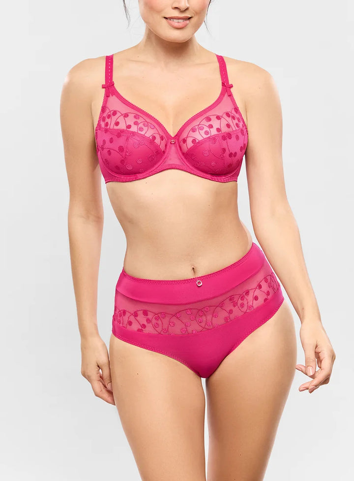Empreinte - Tess High Waisted Brief Rose Samba