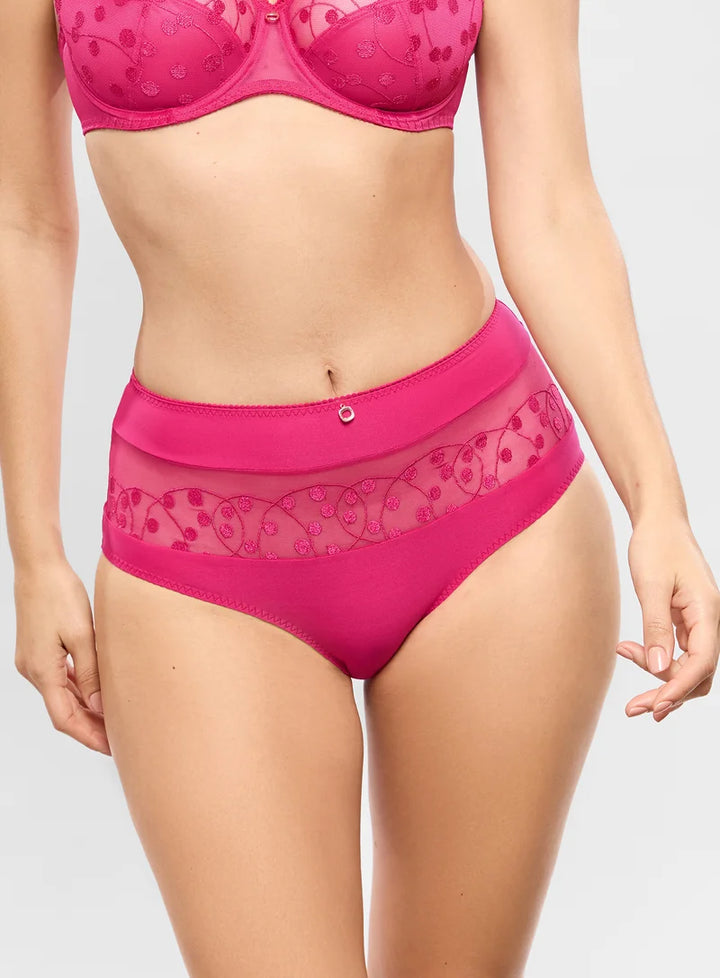 Empreinte - Tess High Waisted Brief Rose Samba