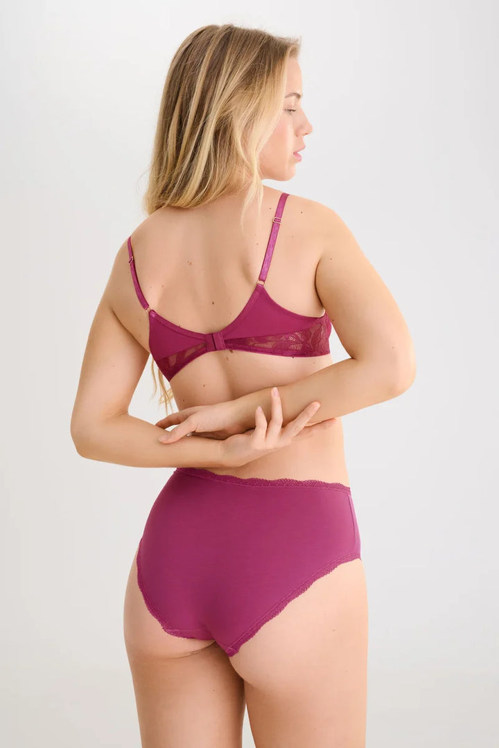 Lisca - Everyday High Waisted Briefs Wild Rose