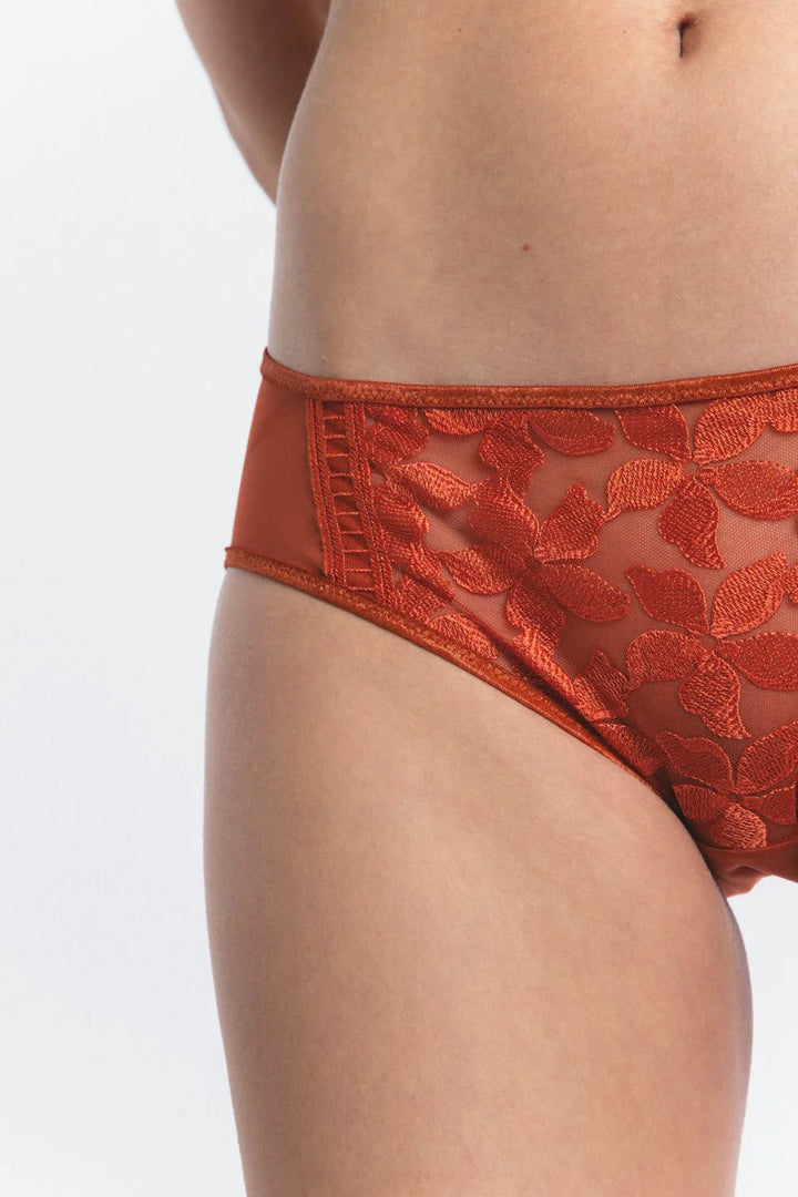 Lejaby - Magnolia Brief Rooibos