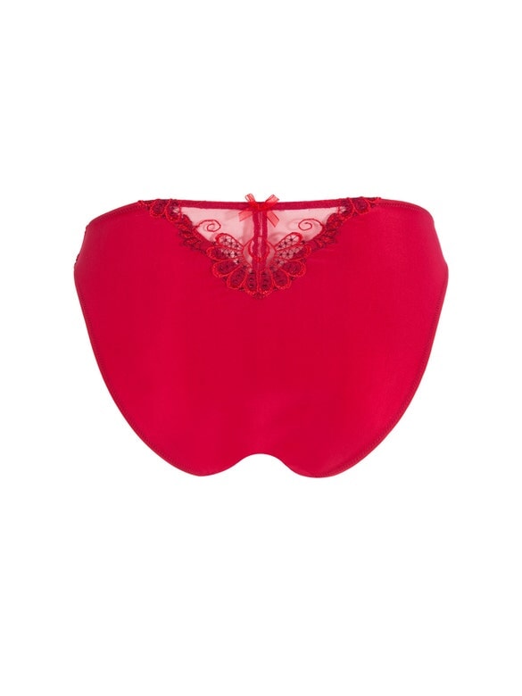 Lise Charmel - Dressing Floral Fancy Mesh Brief Dressing Solaire