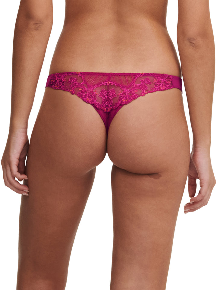 Chantelle - Cabaret Sauvage Tanga Ruby Multico