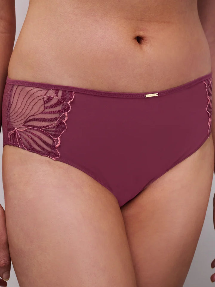 Chantelle - Legend Full Brief Sienna / Guava