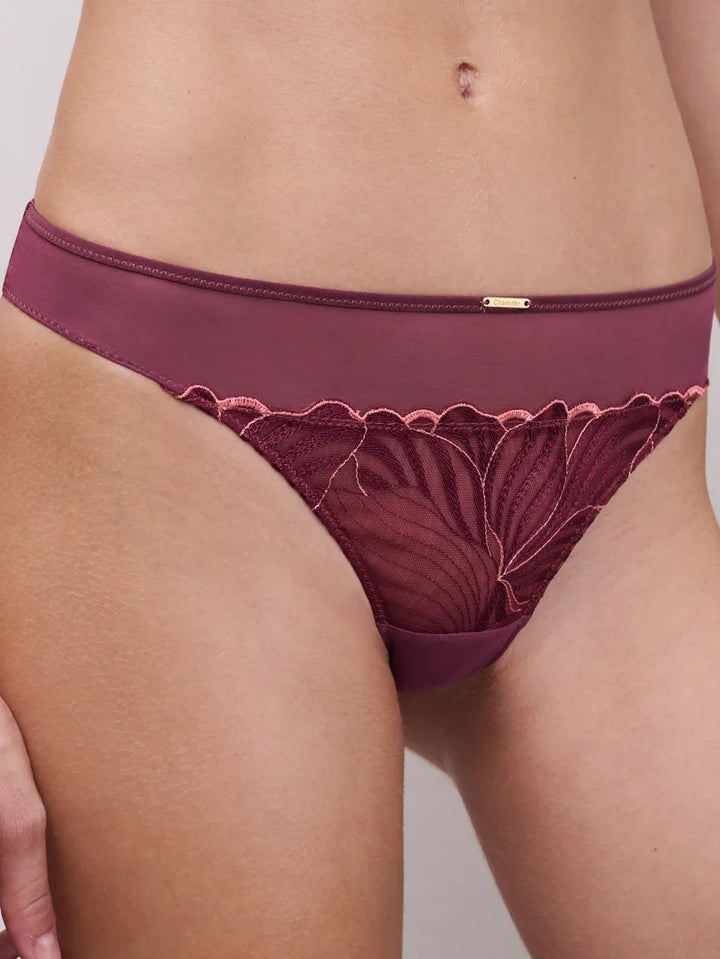 Chantelle - Legend Tanga Sienna / Guava