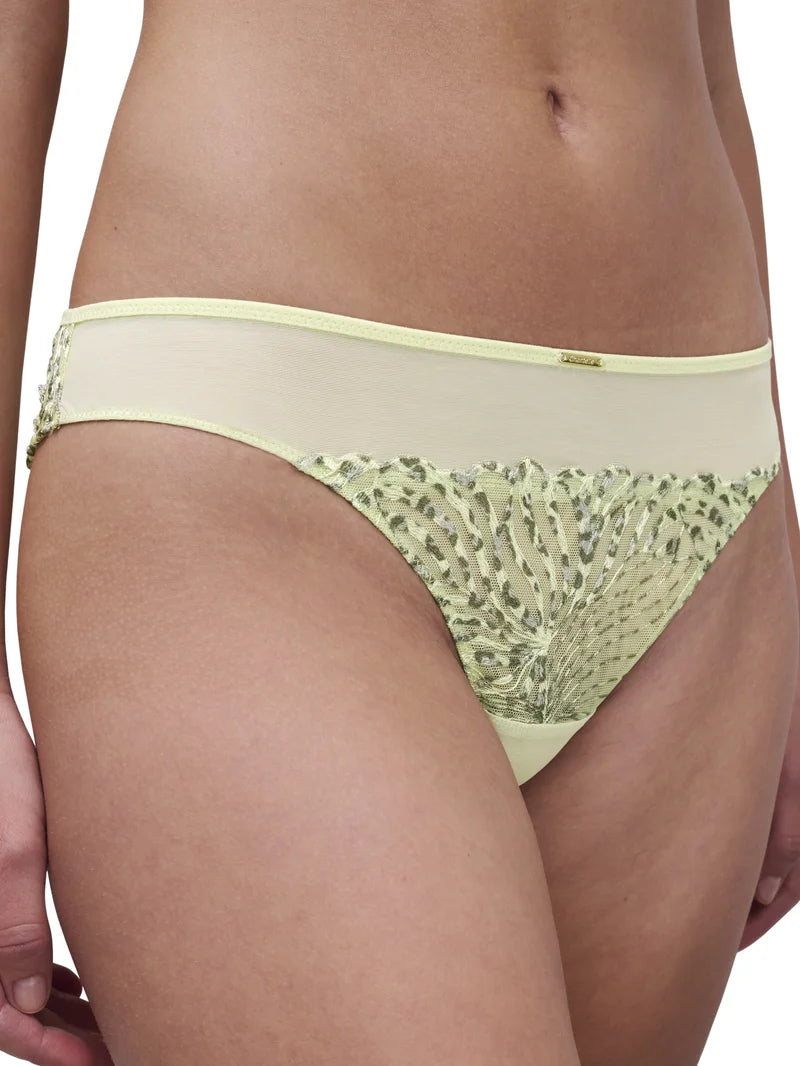 Chantelle - Legend Tanga Wild Pistacio
