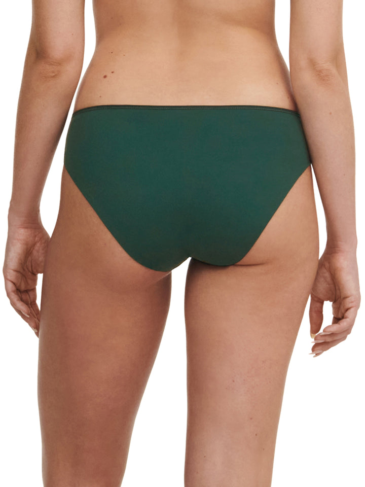 Chantelle - Graphic Support Brief Empire Green
