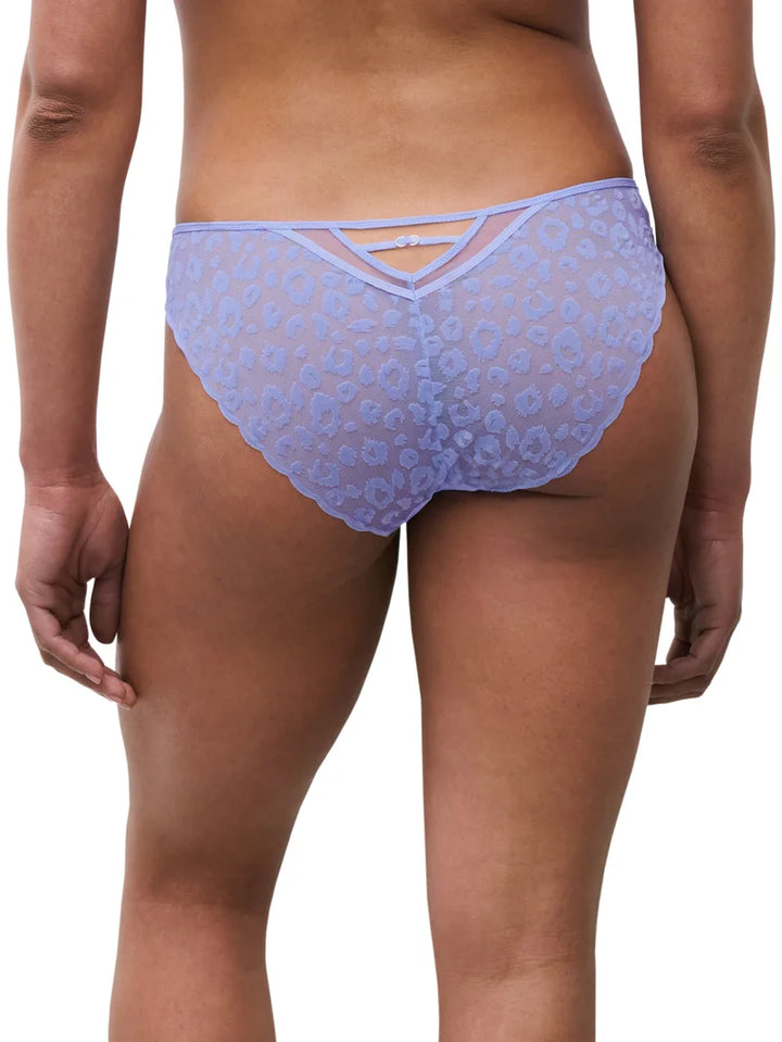 Chantelle - Girls Brief Cornflower