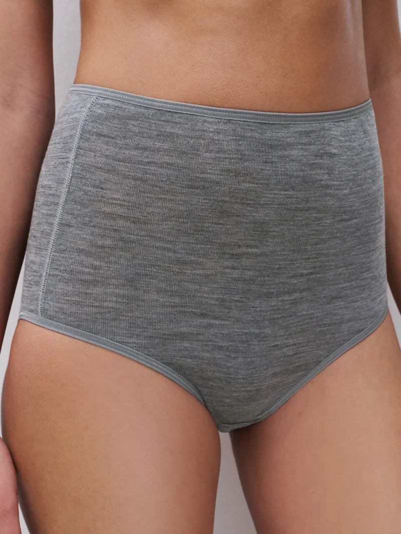 Femilet - Juliana Maxi Brief Grey