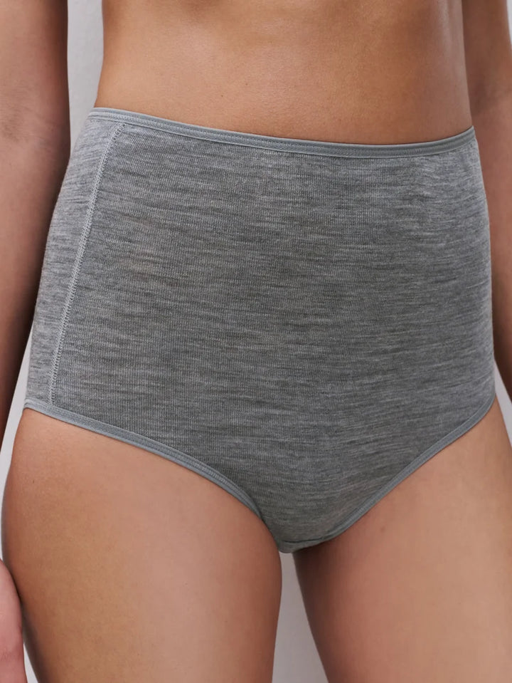 Femilet - Juliana Maxi Brief Grey