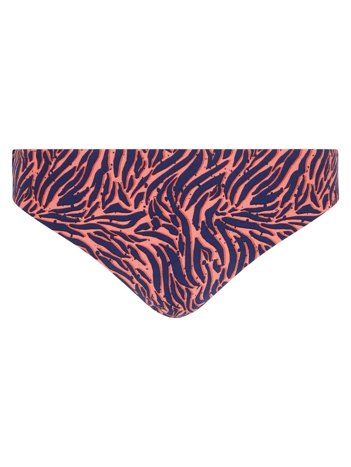 Femilet Swimwear - Tidra Brief Zebra