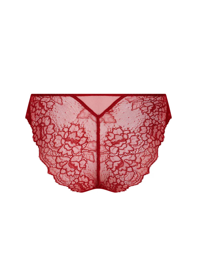 Lise Charmel - Sublime En Dentelle Italian Brief Sublime Opera