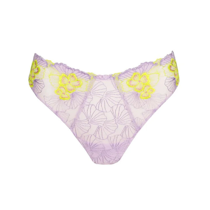 PrimaDonna - Ixia Thong Wisteria
