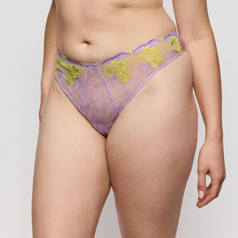 PrimaDonna - Ixia Thong Wisteria