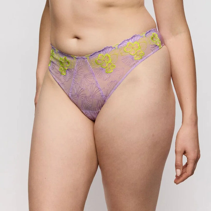 PrimaDonna - Ixia Thong Wisteria