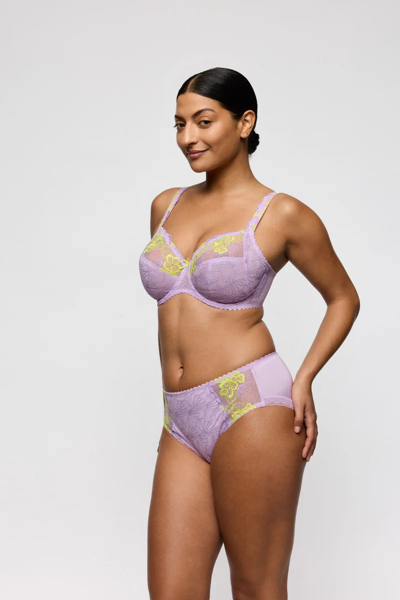 PrimaDonna - Ixia Lace Full Briefs Wisteria