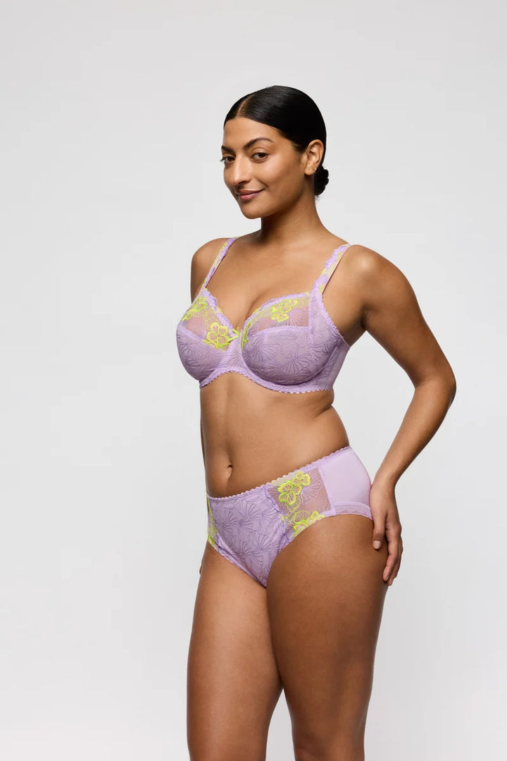 PrimaDonna - Ixia Lace Full Briefs Wisteria