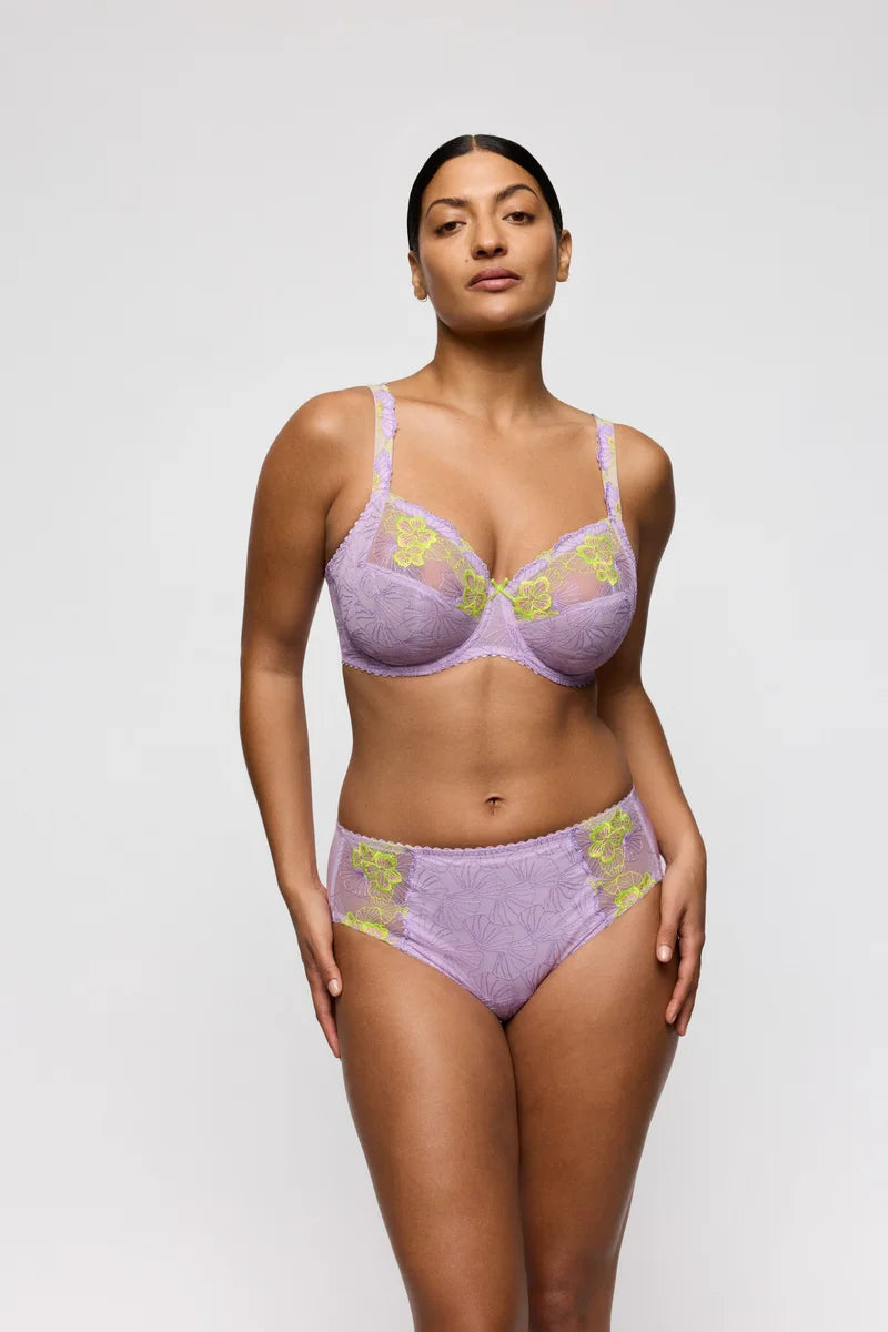PrimaDonna - Ixia Lace Full Briefs Wisteria