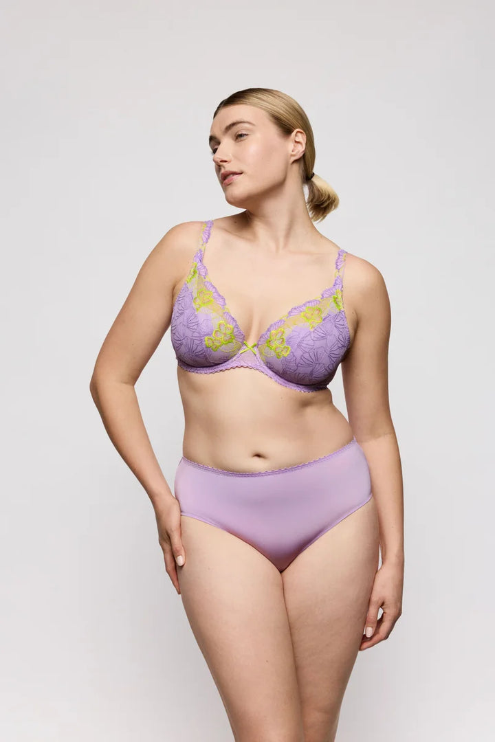 PrimaDonna - Ixia Full Briefs Wisteria