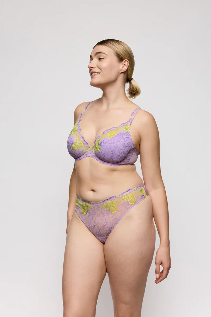 PrimaDonna - Ixia Thong Wisteria
