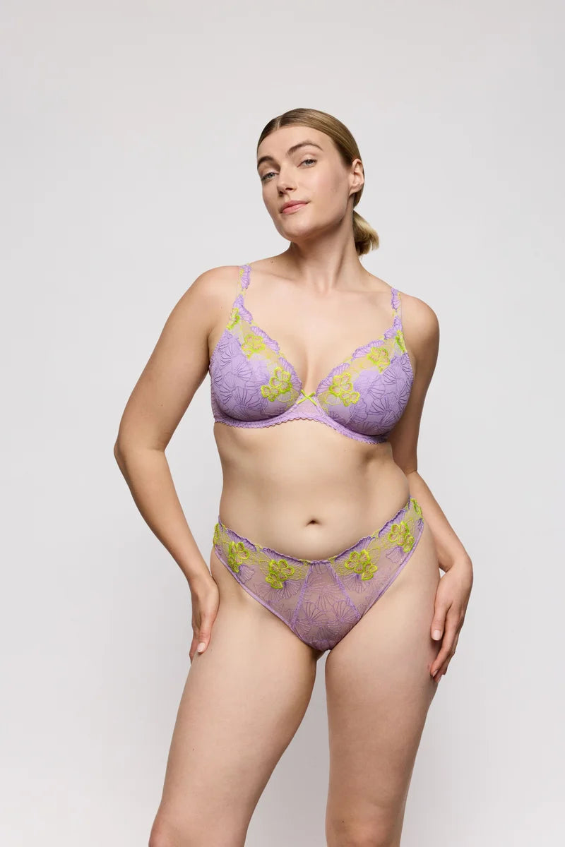 PrimaDonna - Ixia Thong Wisteria