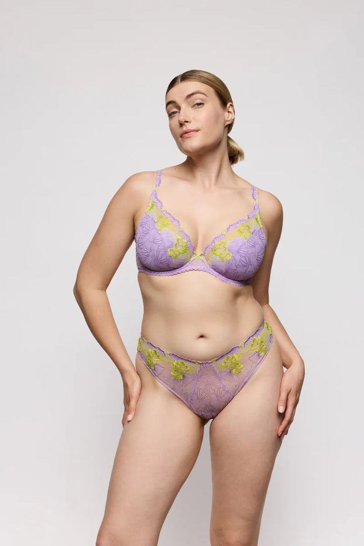 PrimaDonna - Ixia Thong Wisteria