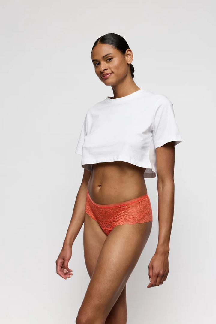 Marie Jo - Color Studio Lace Shorts Pamplemousse