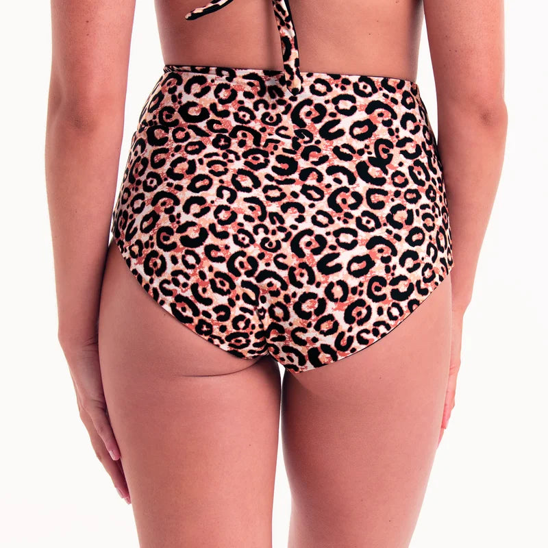Rosa Faia Swimwear - Marcella Bottom Black-Brown