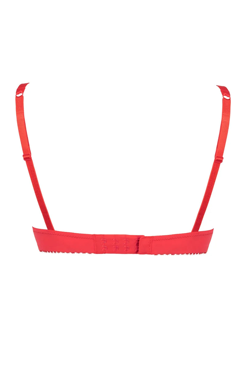 Lejaby - Poesie Padded Demi-Cup Bra Amor