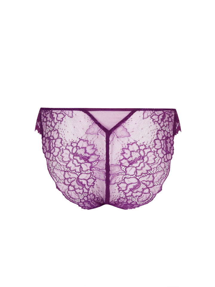 Lise Charmel - Sublime en Dentelle Italian Brief Sublime Iris