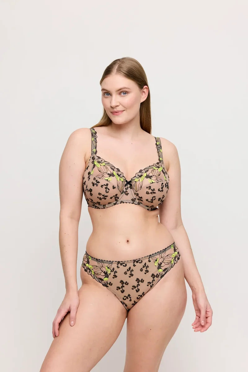 Primadonna - Manali Rio Briefs Wild Bloom