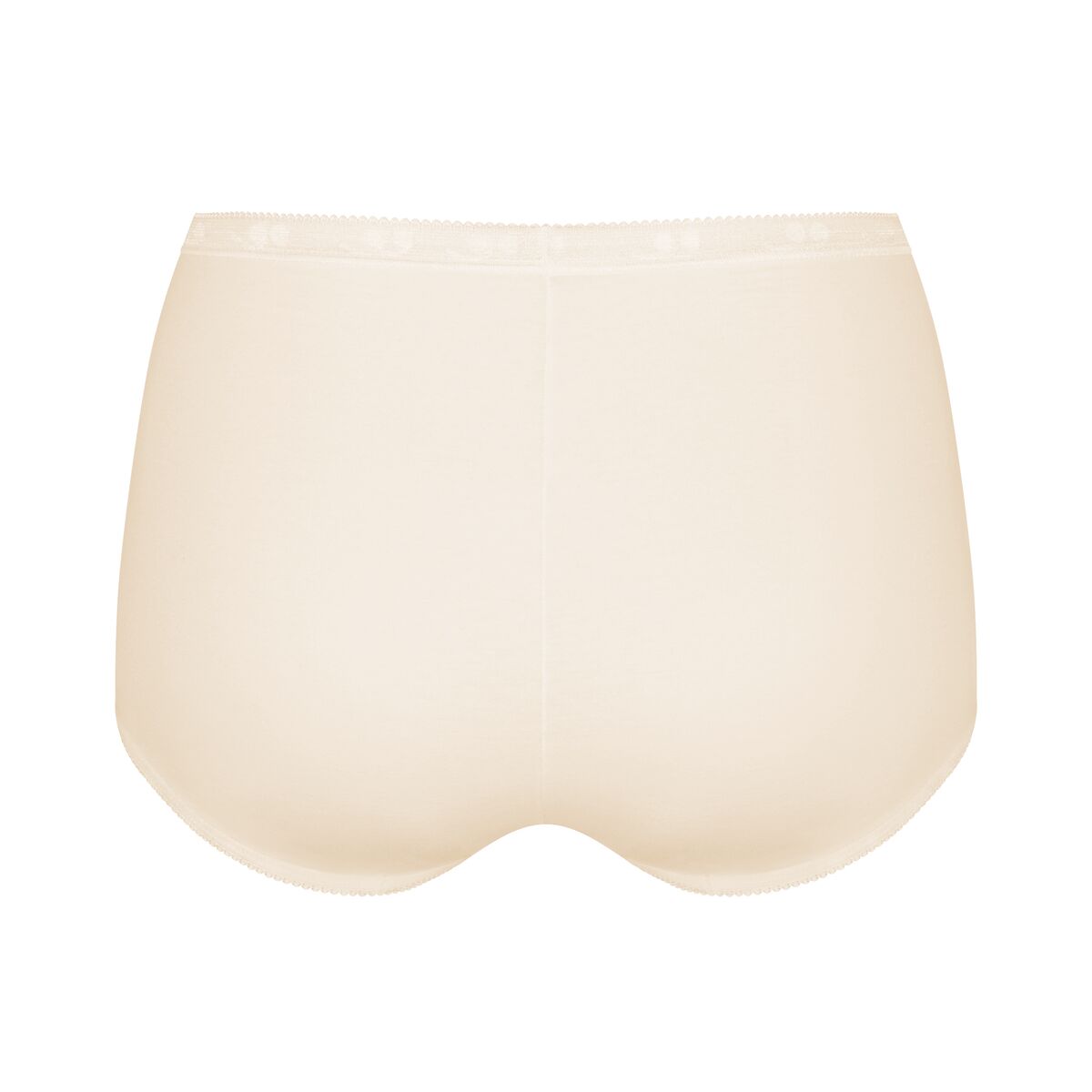 Sloggi - Basic Plus High Waist Maxi Brief Chrysantheme