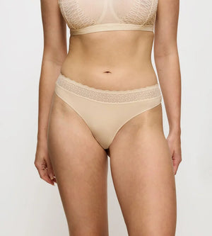 Triumph - Feel Of Modal String Creamy Dream
