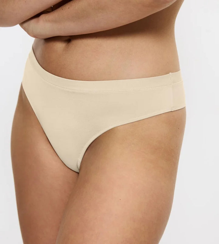 Triumph - Sense Of Modal String Creamy Dream