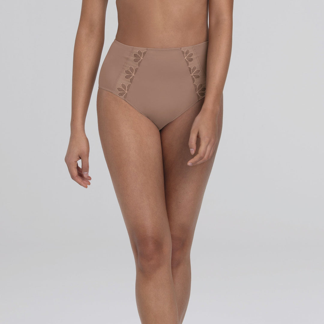 Anita Sophia High-Waist Briefs+ - Dusty Rose Full Brief Anita 