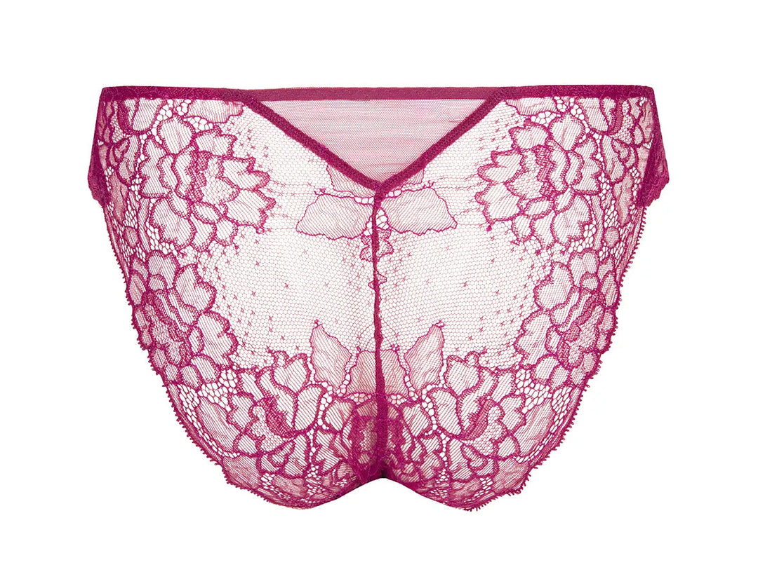 Lise Charmel - Sublime en Dentelle Italian Brief Fuchsia Sublime Brief Lise Charmel 