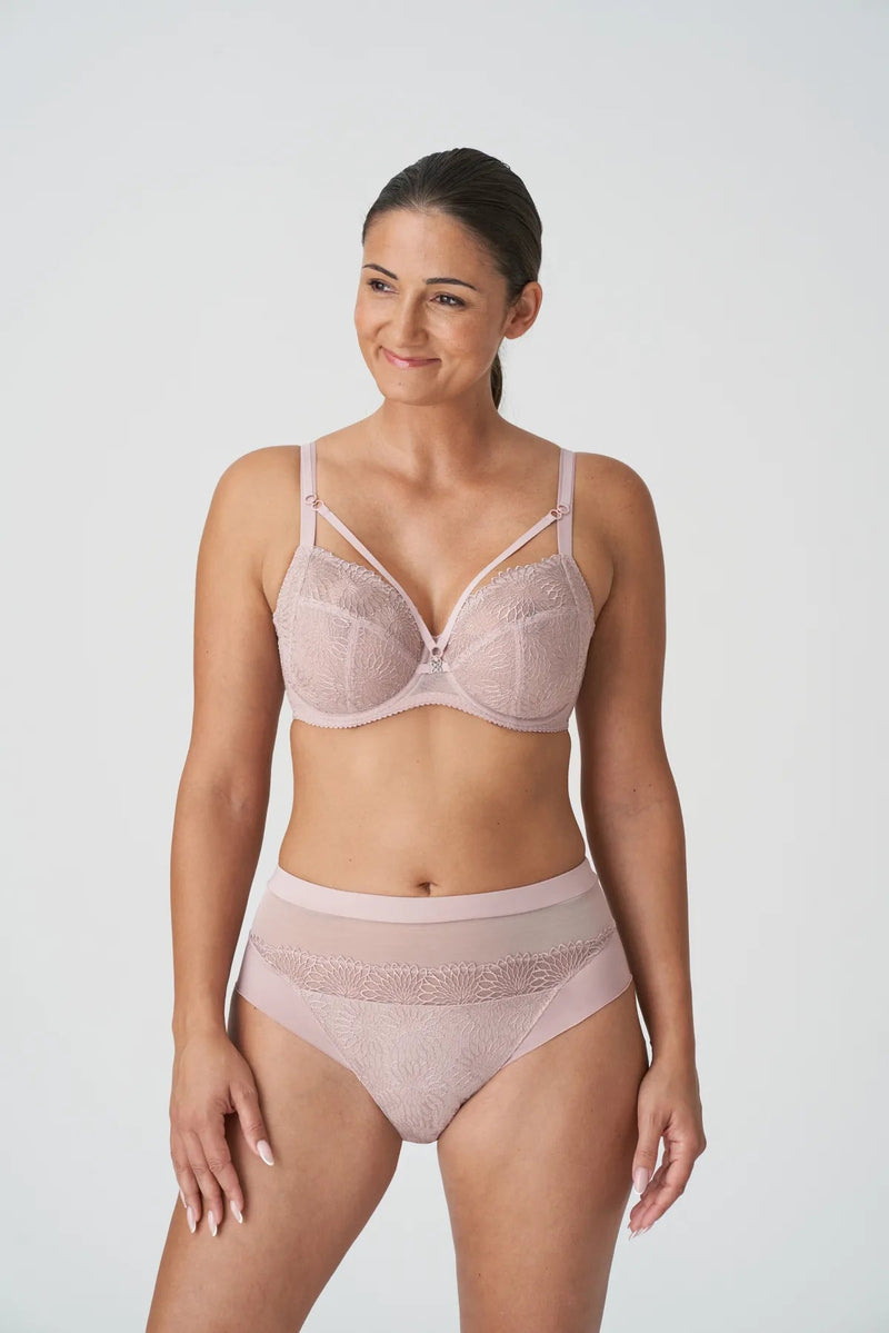 PrimaDonna Sophora Full Briefs Bois De Rose